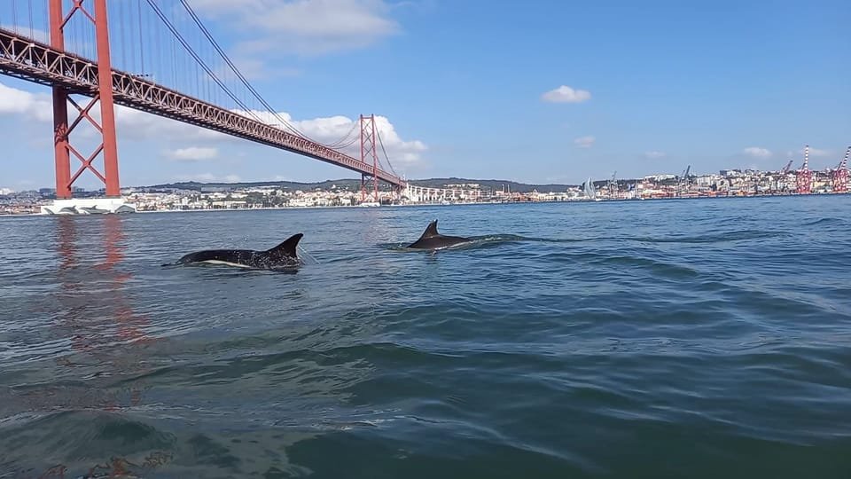 Blog Post illustration